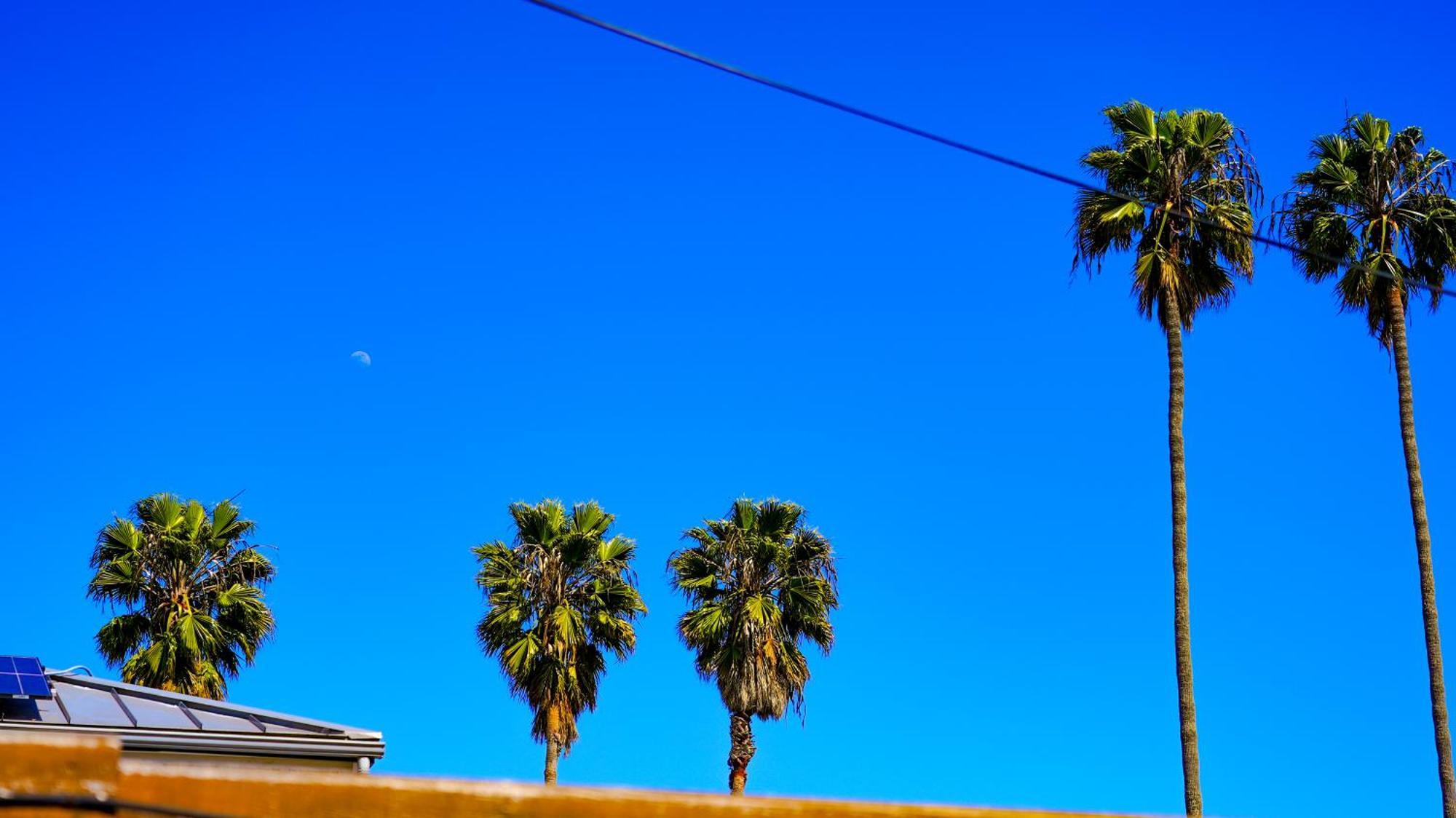 Cozy Private Guest House Los Angeles Exterior photo